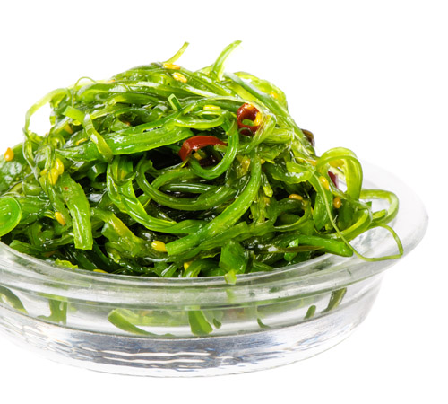 SeaWeed